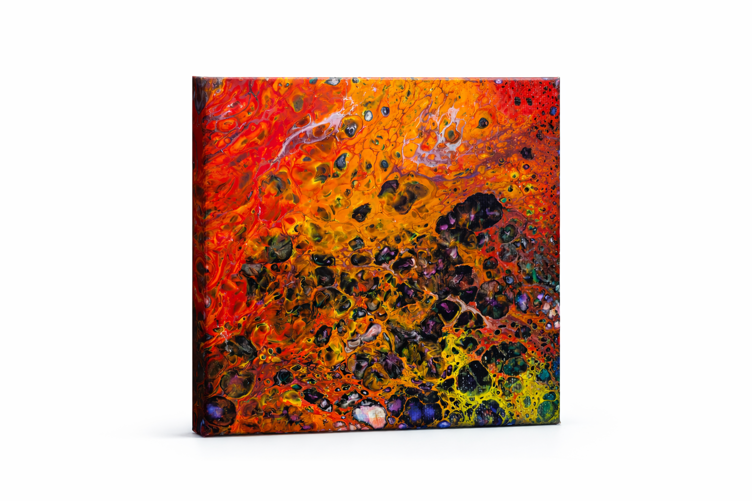 Reminds me of Lisa if I'm being Frank 